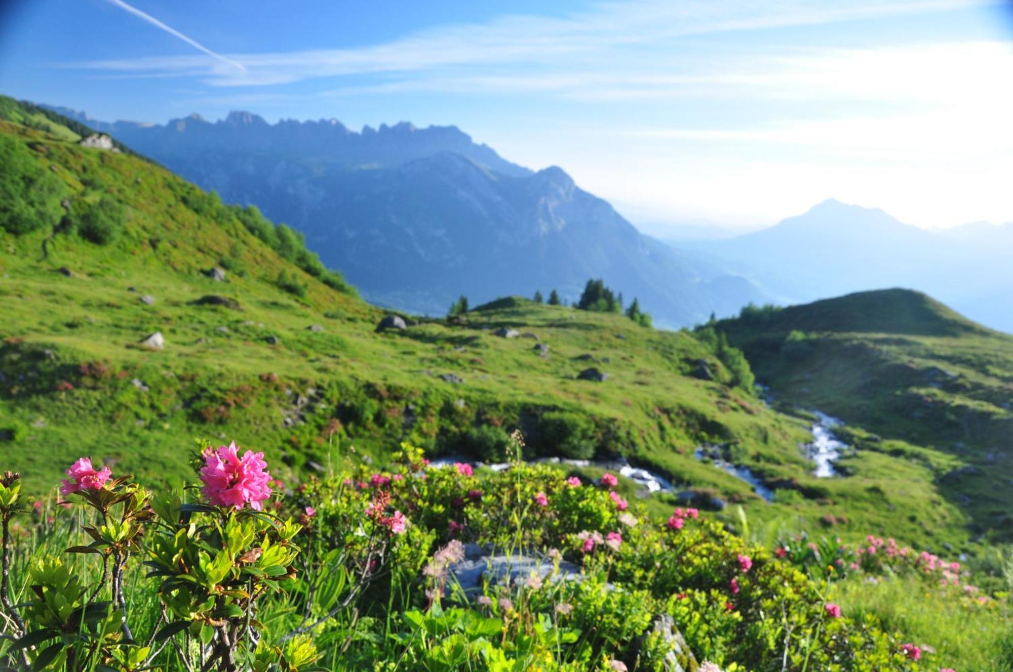 Haus Edelweiss Daire Bad Ragaz Dış mekan fotoğraf